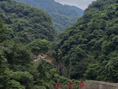 -陕西省红河谷森林公园