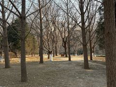 -元大都城垣遗址公园