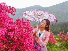 -木兰云雾山