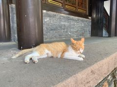 -承德避暑山庄景区