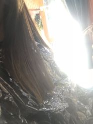 -小齐发型Star·Salon