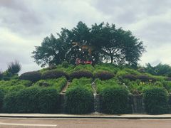 环境-自贡恐龙博物馆