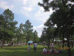 -美兰湖景区
