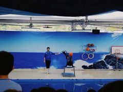 -厦门海底世界