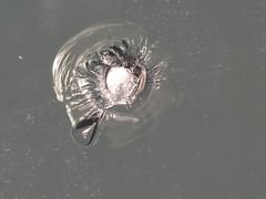 -鲨鱼皮汽车凹陷玻璃修复(静安店)