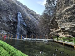 -少华山国家森林公园