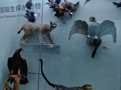 -国家自然博物馆