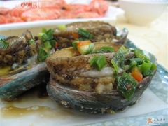 崂山鲍鱼-海岛渔村大酒店(云霄路店)