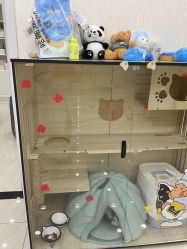 -苗医生草本科技祛痘