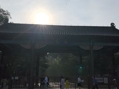 -北陵公园