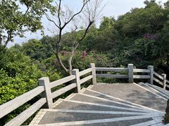 -广州市白云山风景名胜区