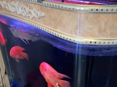 -益康盲人按摩·张氏店