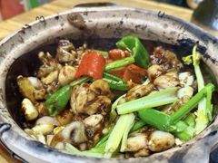 -天宝食坊·啫啫煲大排档(西华路店)