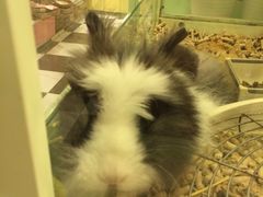 -龙猫仔乐园(惠福东路店)