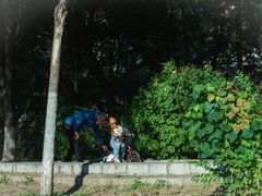 -丁香湖公园