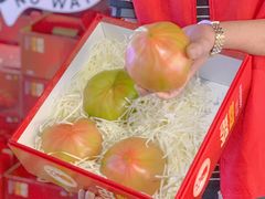 -鹏欣水游城