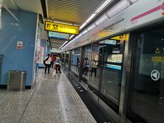 -大龙山(地铁站)