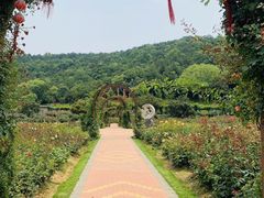 -龙寺生态园