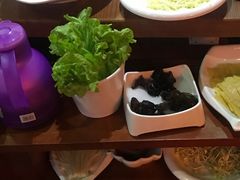 -洪焱重庆老火锅(万福花园店)