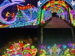 -欢乐海岸椰林沙滩-2025湾区超级灯会