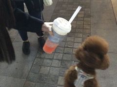 -喜茶(深圳福田星河COCO Park店)