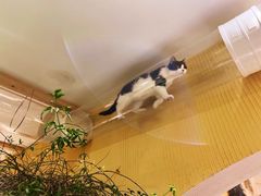 -萤火虫咖啡(后海店)