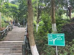 -梧桐山风景名胜区