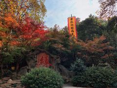 -杭州黄龙洞