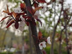 -中关村生命科学园