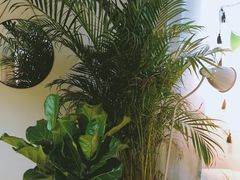 -Smile House咖啡馆(群芳小区店)