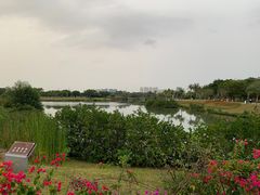 -万绿园