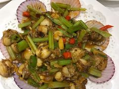 辣炒小扇贝-双井轩(双井店)