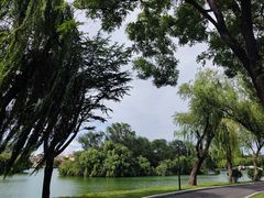 -莱西月湖公园