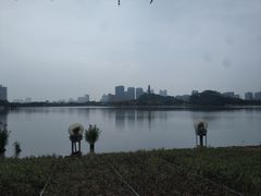 -顺峰山公园