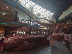 -安徽省地质博物馆