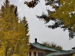 -中国农业博物馆