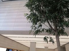 -Apple零售店(济南恒隆广场店)