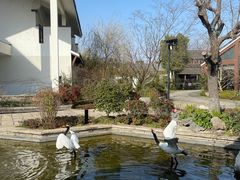 -广富林宰相府酒店·水云间