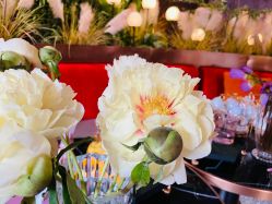 -花隐·美芙炫海菲秀皮肤管理中心