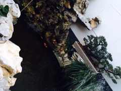 iphone_upload_pic-莹珠阁·私房菜