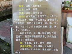 -中国大熊猫保护研究中心雅安碧峰峡基地