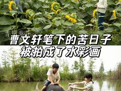 -万达影城(惠济万达广场IMAX店)