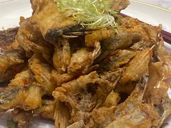 -聚福宝合苑食府(南头镇店)