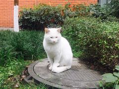 -西南民族大学南区(双流校区)