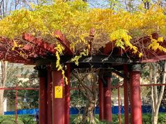 -上海不夜城广场(上海不夜城金融大厦店)