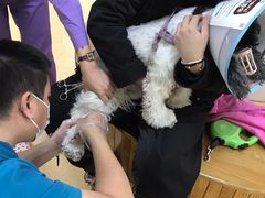 -瑞派宠物医院·24小时骨科·心脏·核磁(哈尔滨南岗店)