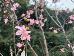 -厦门悦华酒店·绿庭主题自助餐厅