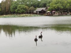 -新洲生态园