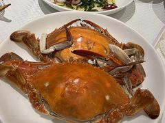 -双井轩(双井店)