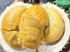 -都念榴莲·城市榴莲